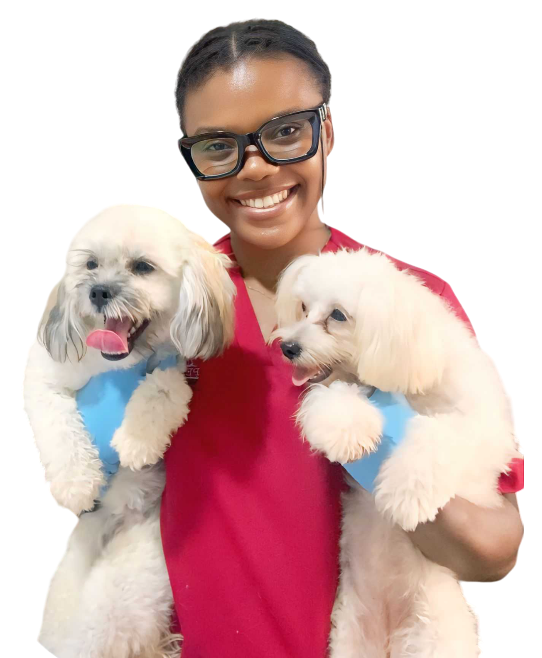 Petmedplus Veterinary clinic & services | Hero section