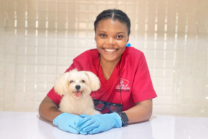 Petmedplus Veterinary clinic & services | Vet doctor at Ajah Lagos 3