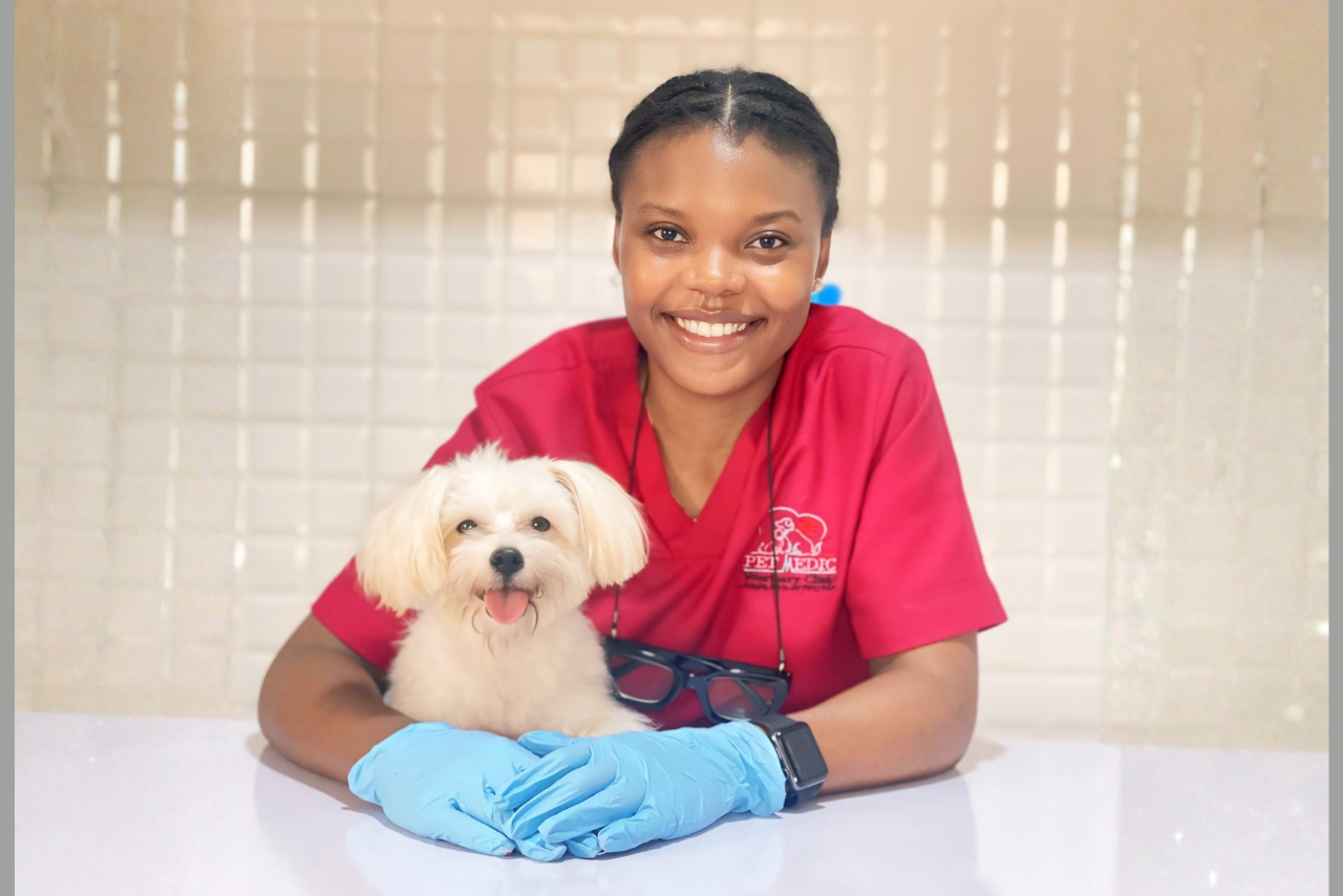 Petmedplus Veterinary clinic & services | Vet doctor at Ajah Lagos 4