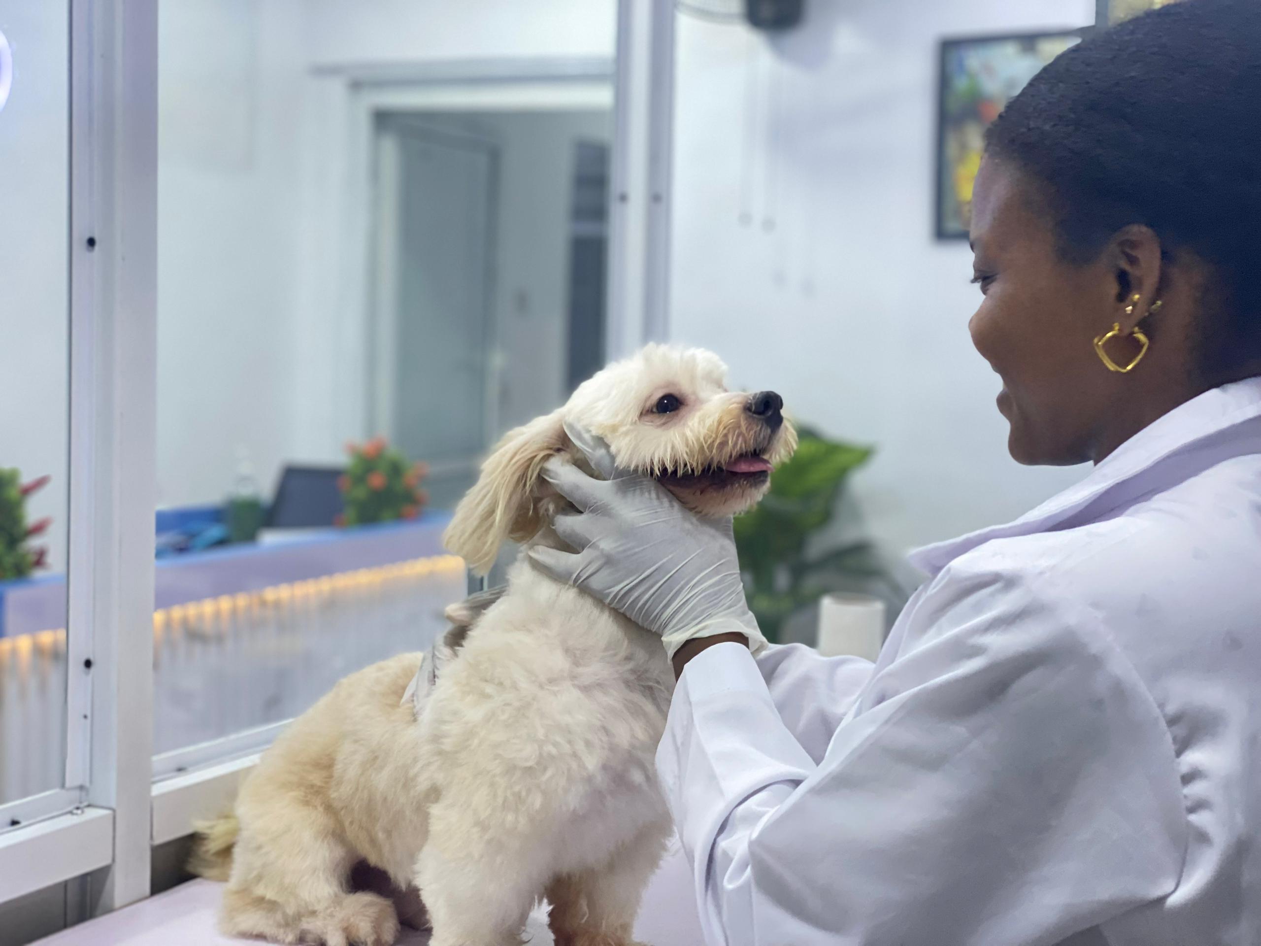 Petmedplus Veterinary clinic & services | IMG 20260423 WA0079
