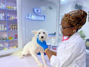 Vet doctor at Ajah Lagos -2