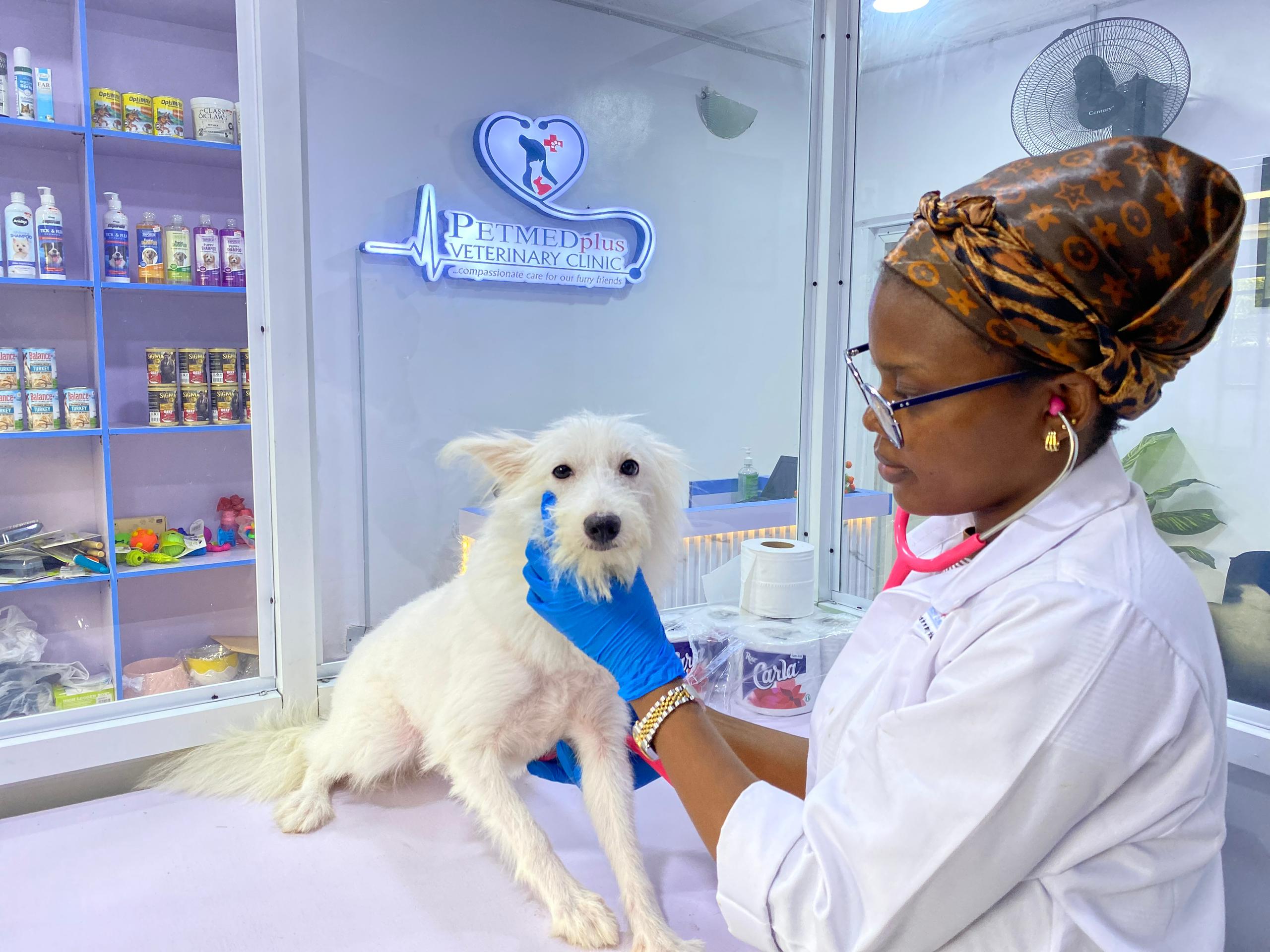 Vet doctor at Ajah Lagos -2