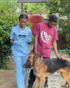 Professional Home Service Veterinarian in Ajah & Lekki Lagos 2 Petmedplus Veterinary clinic & services | Petmed plus Ajah 1