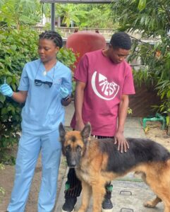 24/7 Emergency Veterinarian & Home Service in Ajah Lagos 2 Petmedplus Veterinary clinic & services | Petmed plus Ajah 2