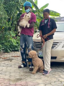 Dog vaccination Ajah: The Complete Guide to Dog Vaccination in Ajah: Protecting Your Pet in the Lekki Corridor 1 Petmedplus Veterinary clinic & services | Petmed plus Ajah 3